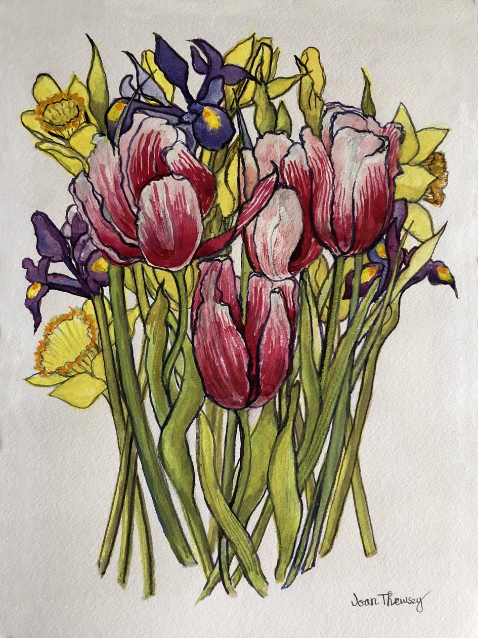 Tulipán, nárcisz és írisz alkotó: Joan Thewsey