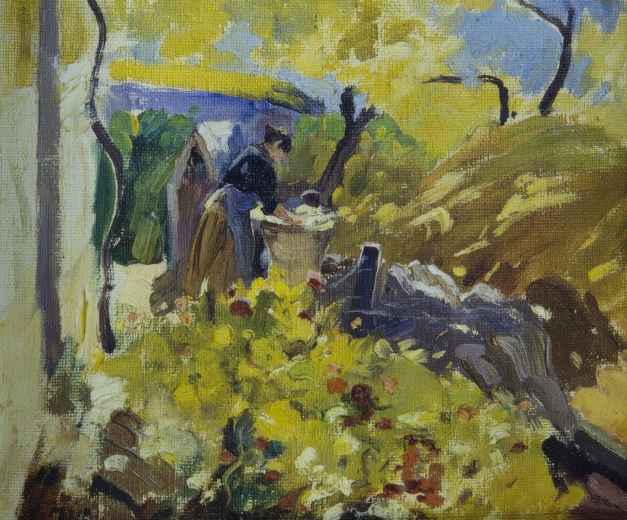 Mosodák alkotó: Joaquim Mir i Trinxet