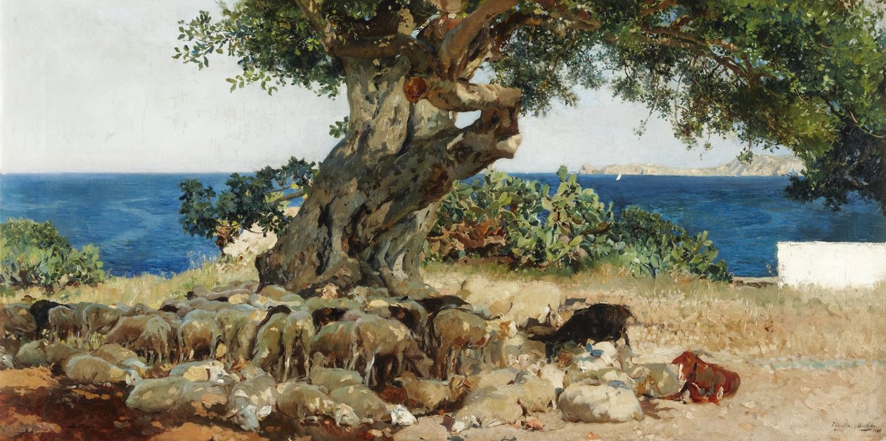 Algarrobo alkotó: Joaquín Sorolla