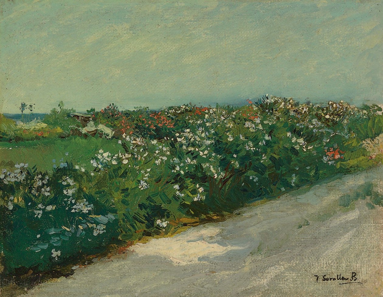 Malvarrosa alkotó: Joaquín Sorolla