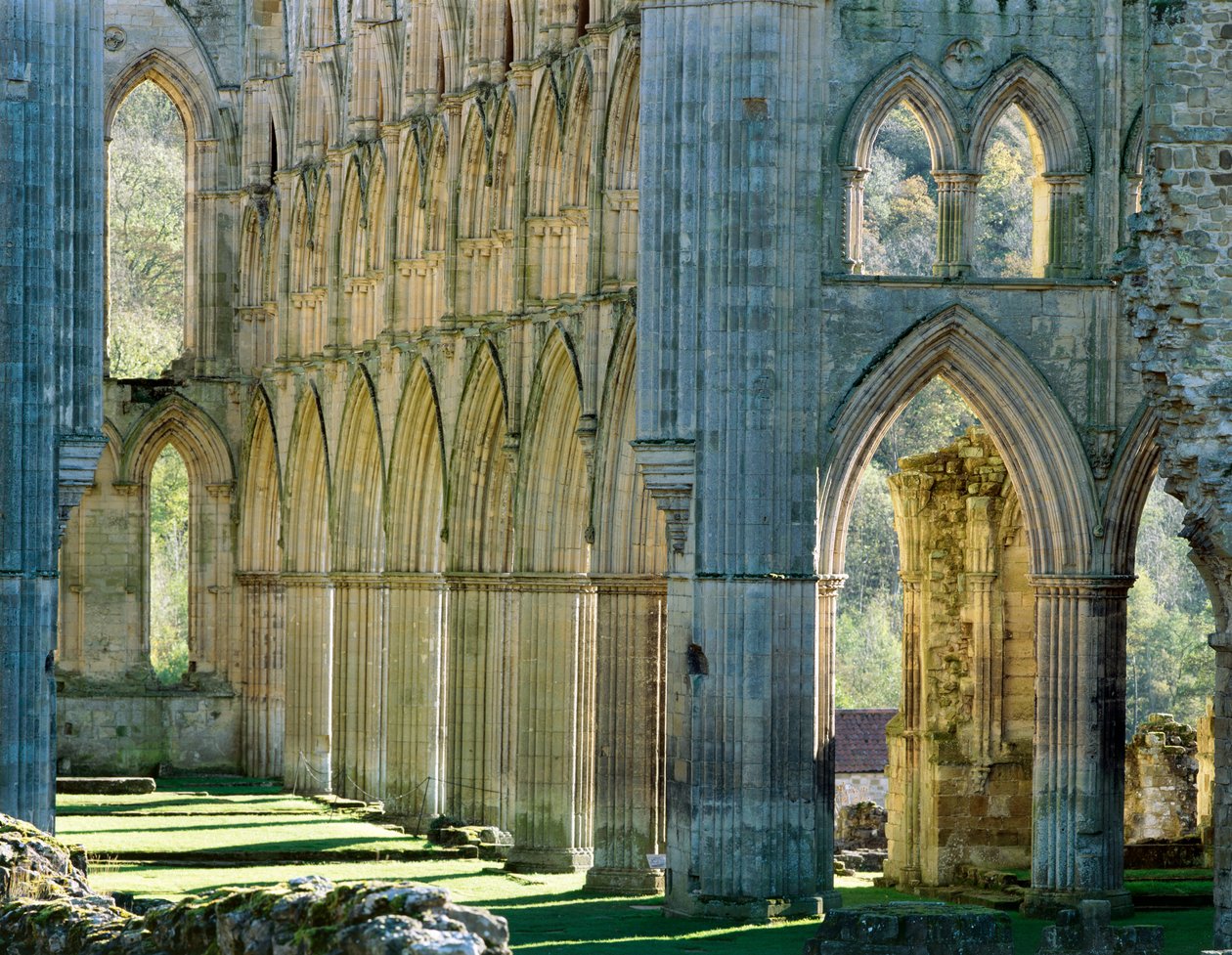 Rievaulx apátság, 1990-2010 alkotó: Joe Cornish