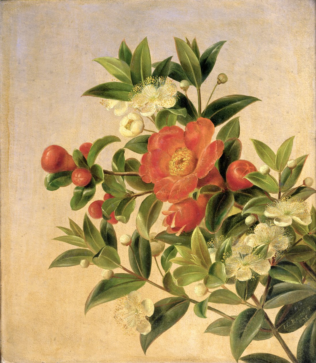 Virágok, 1835 alkotó: Johan Laurents Jensen
