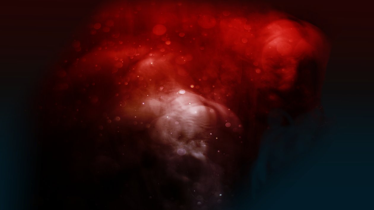 Bloodline The csúnya, 2019 (fotó) alkotó: Johan Lilja