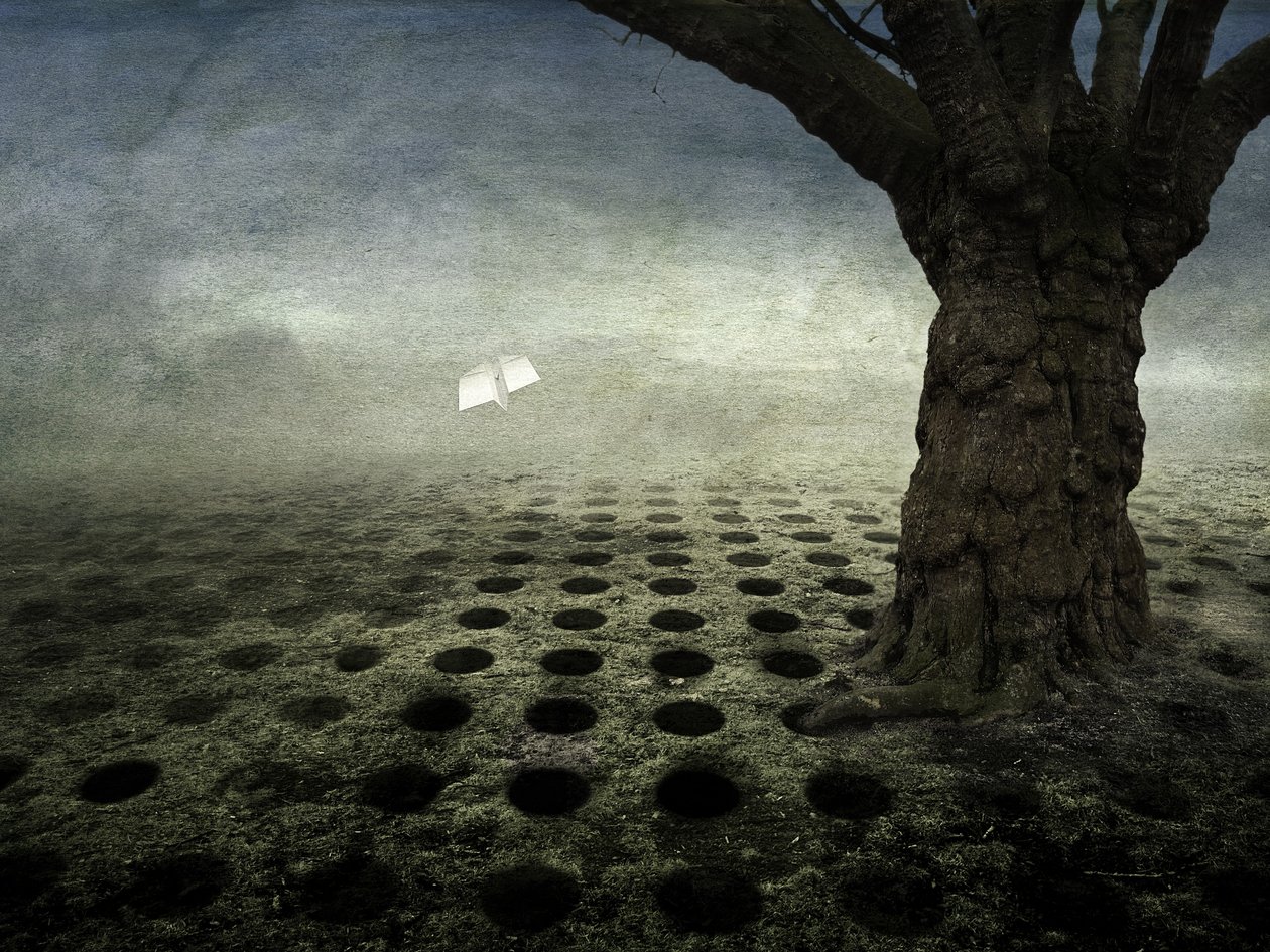 Üres lyukak, 2014 (fotó) alkotó: Johan Lilja