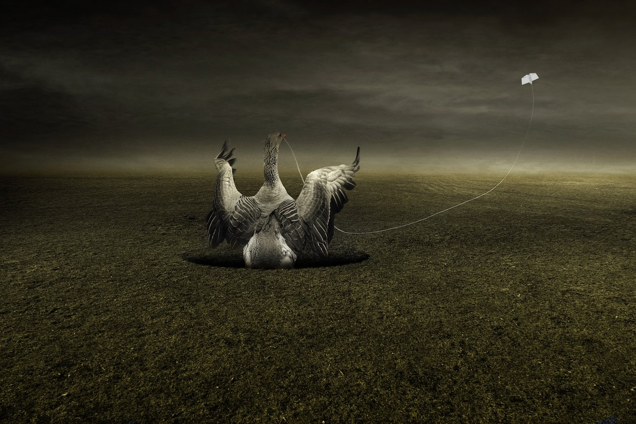 Segítség az úton, 2013 (fényképezés) alkotó: Johan Lilja