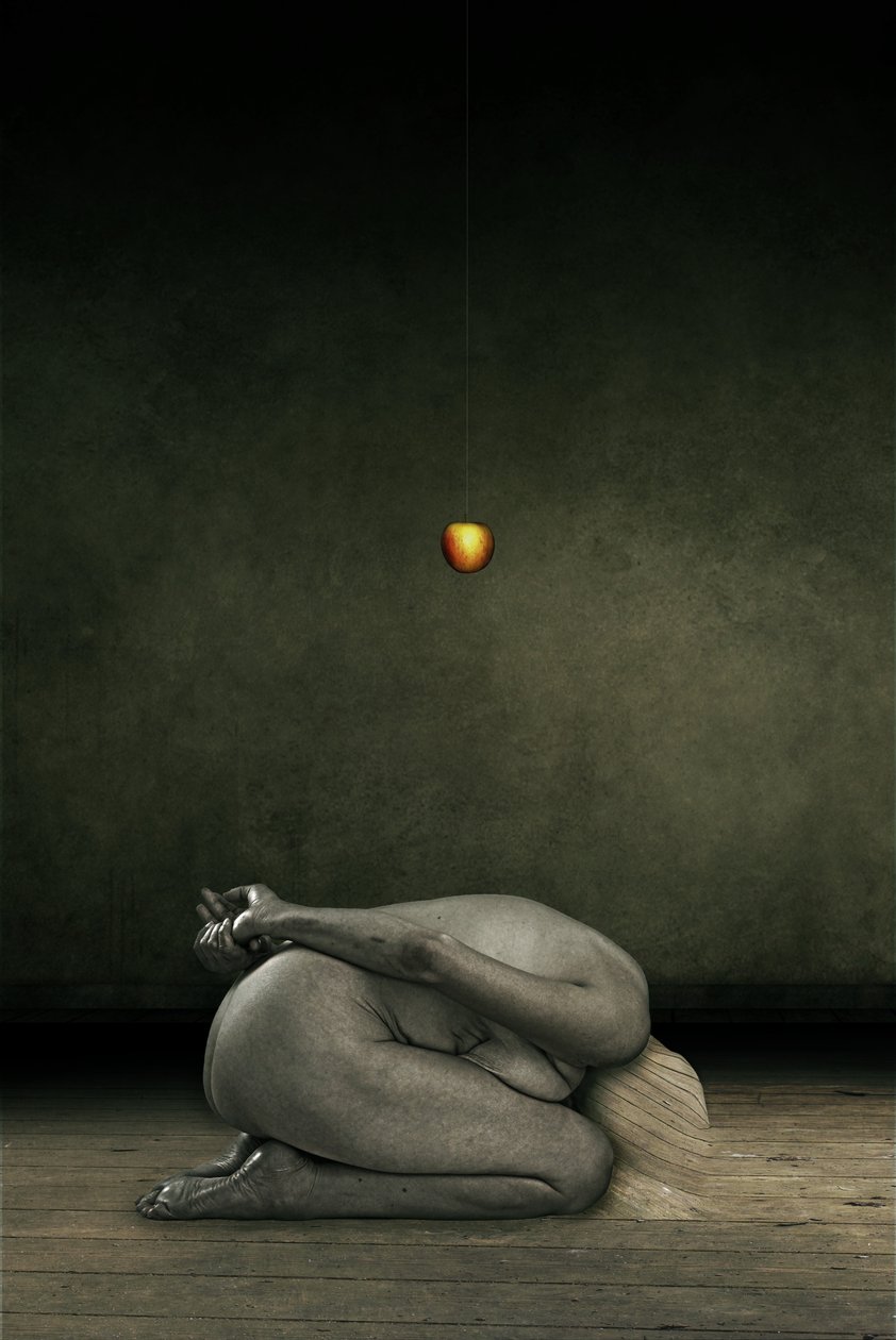 Saját magam elrejtése, 2013 (képmanipuláció) alkotó: Johan Lilja