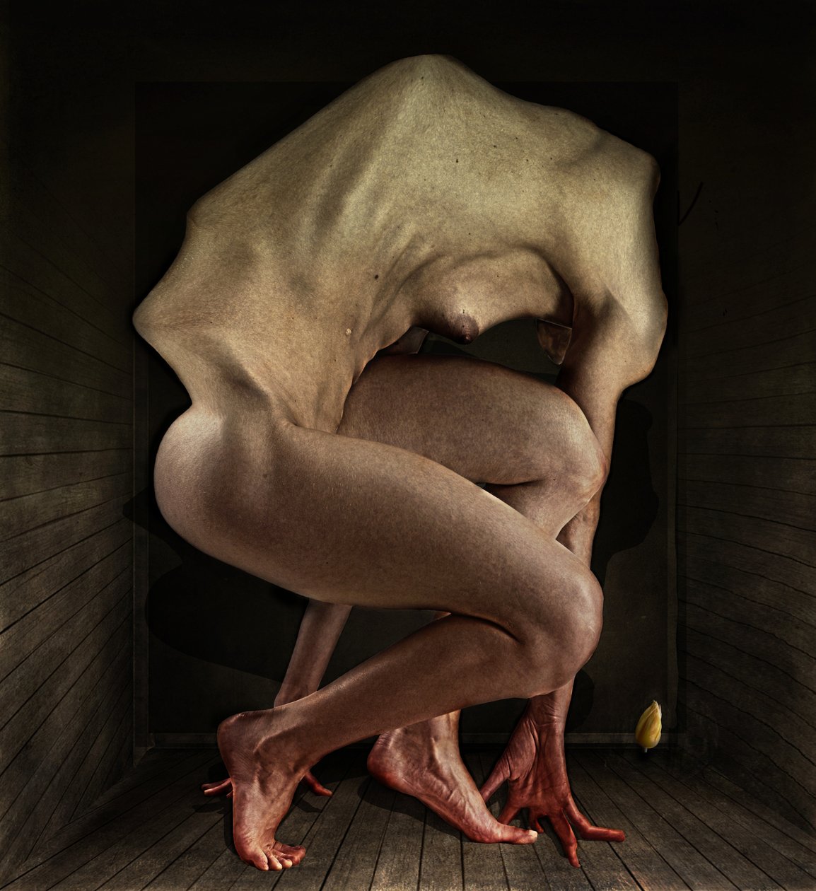 Szégyen, 2012 (fotó) alkotó: Johan Lilja