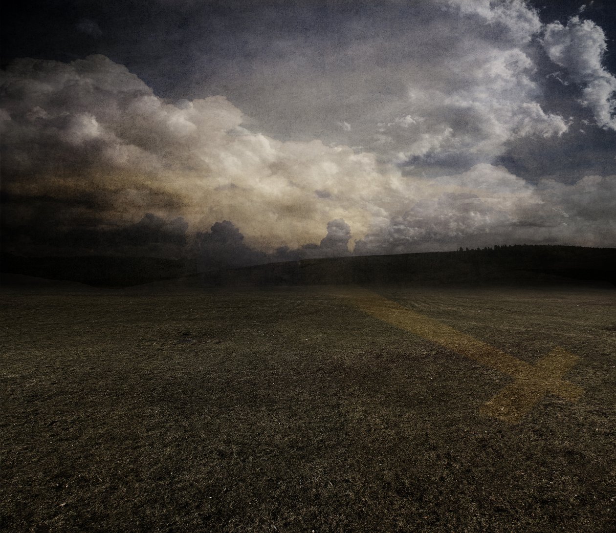 Tulipán, 2015 (fotó) alkotó: Johan Lilja