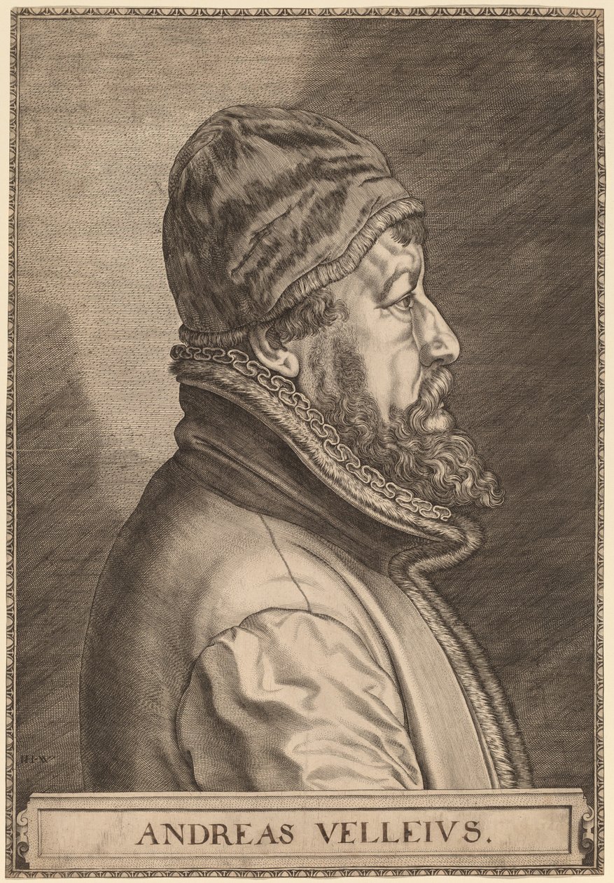 Andreas Velleius (Anders Sorensen Vedel) alkotó: Johan Wierix