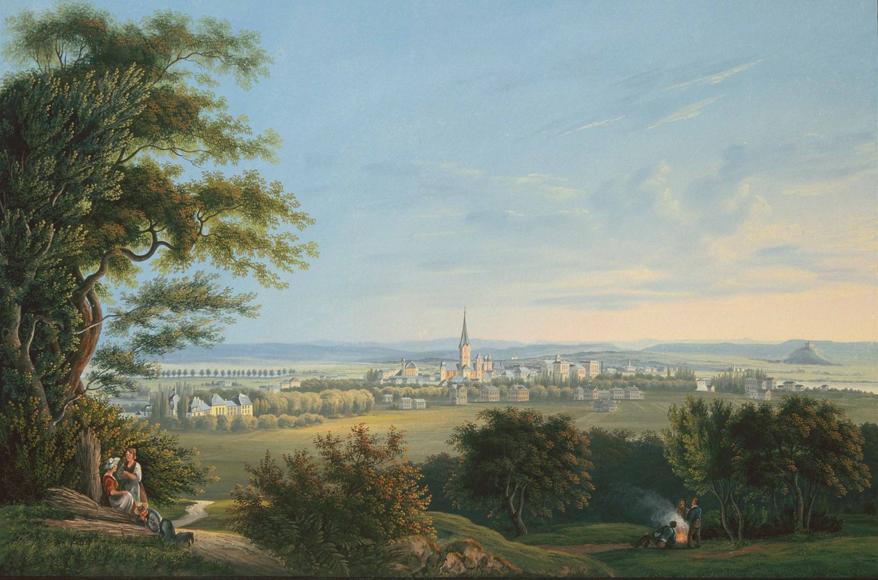 Kilátás Vevay városára és környékére alkotó: Johann Ludwig Bleuler