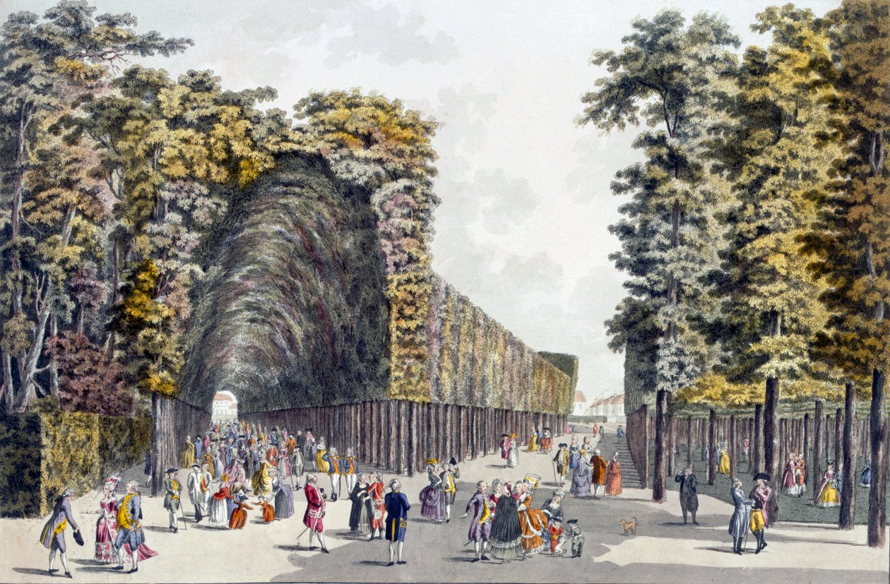 Limegrove Walk, Augarten, Bécs, 1790-es évek alkotó: Johann Ziegler