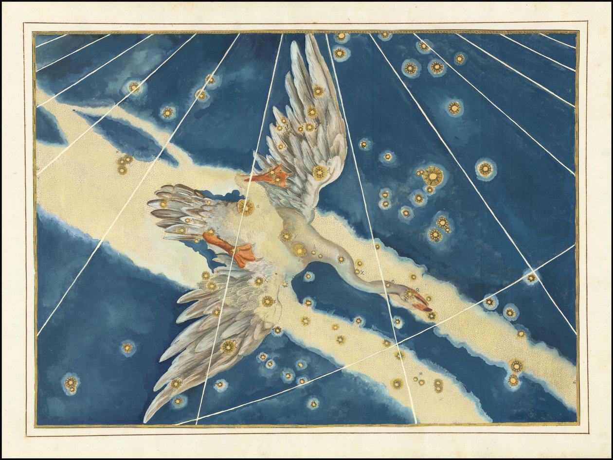 Johann Bayer - Cygnus alkotó: Johann Bayer