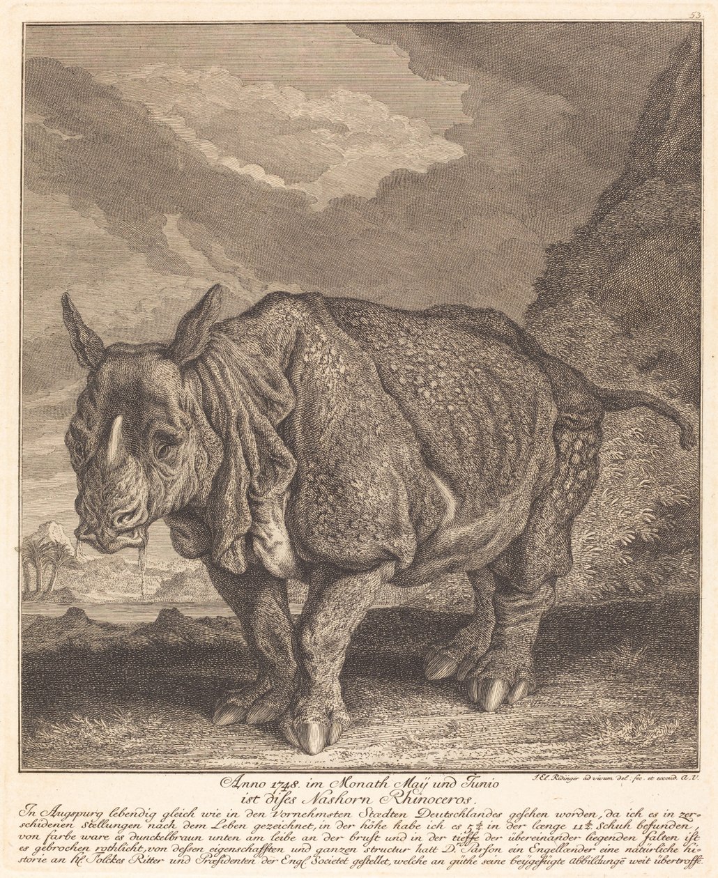 Orrszarvú alkotó: Johann Elias Ridinger