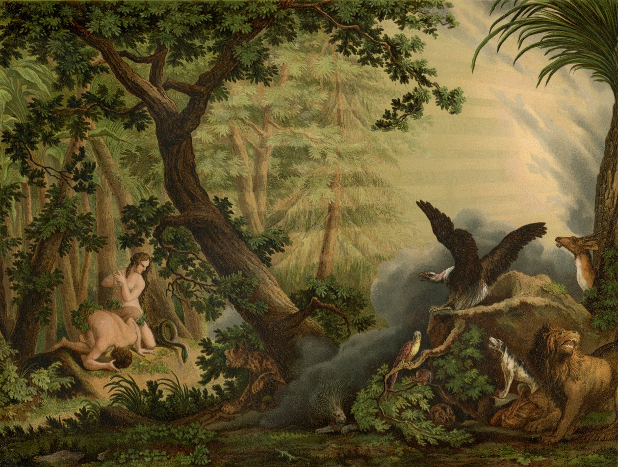 Az esés alkotó: Johann Elias Ridinger or Riedinger