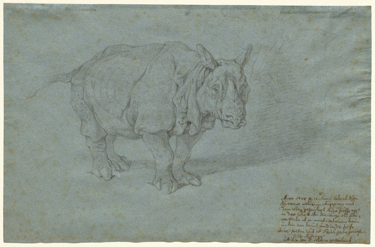 Az orrszarvú "Miss Clara" alkotó: Johann Elias Ridinger