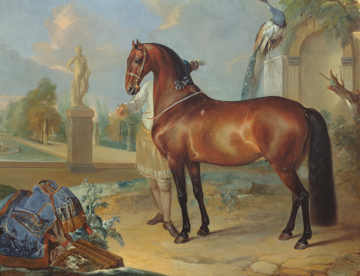 Az öböl ló "Őszinte" alkotó: Johann Georg Hamilton