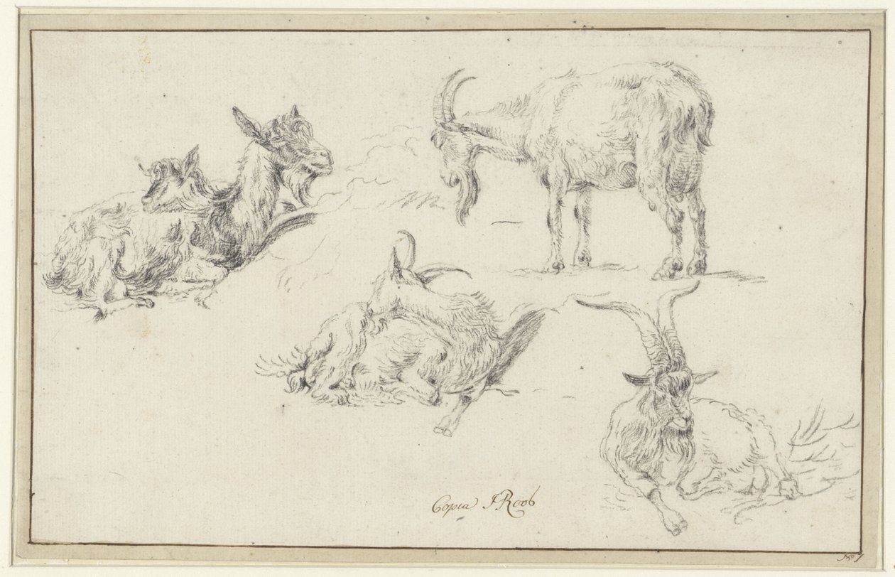 Tanulmányok egy kecskéről alkotó: Johann Heinrich Roos (possibly)