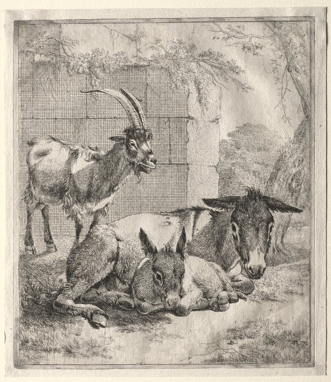 Kecske és szamarak alkotó: Johann Heinrich Roos