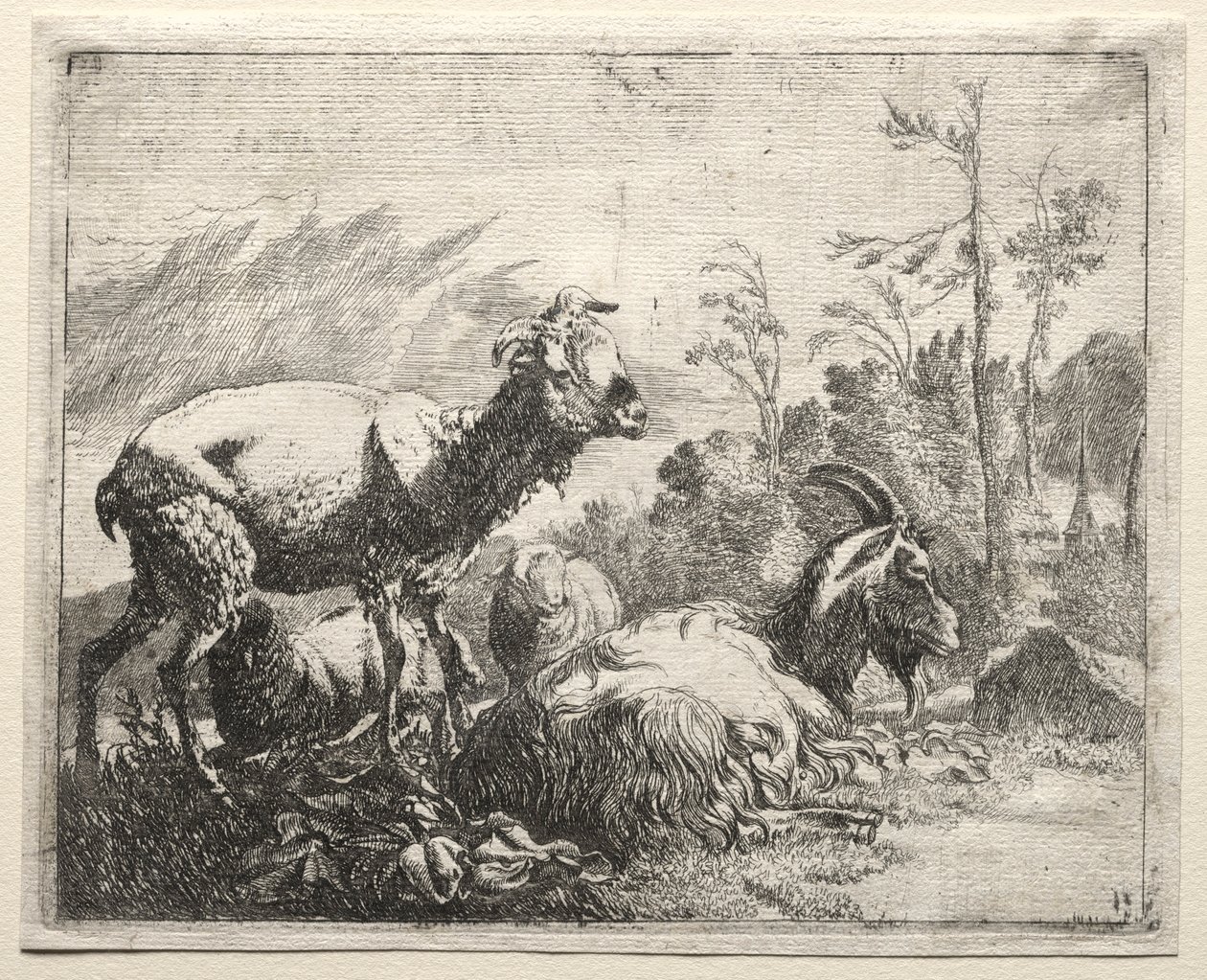 Kecske, 1665. alkotó: Johann Heinrich Roos