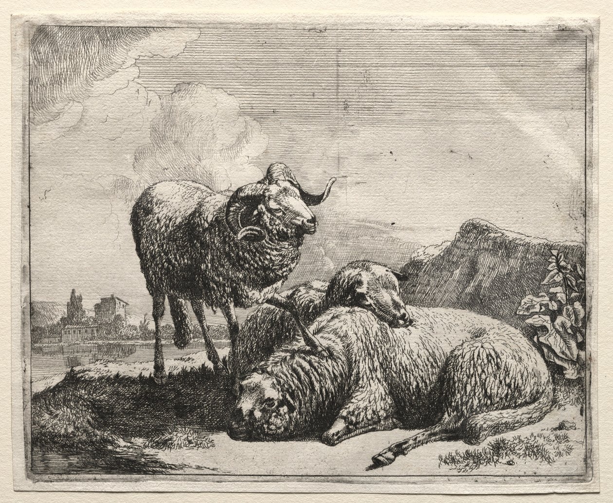 Kos és két bárány, 1665. alkotó: Johann Heinrich Roos