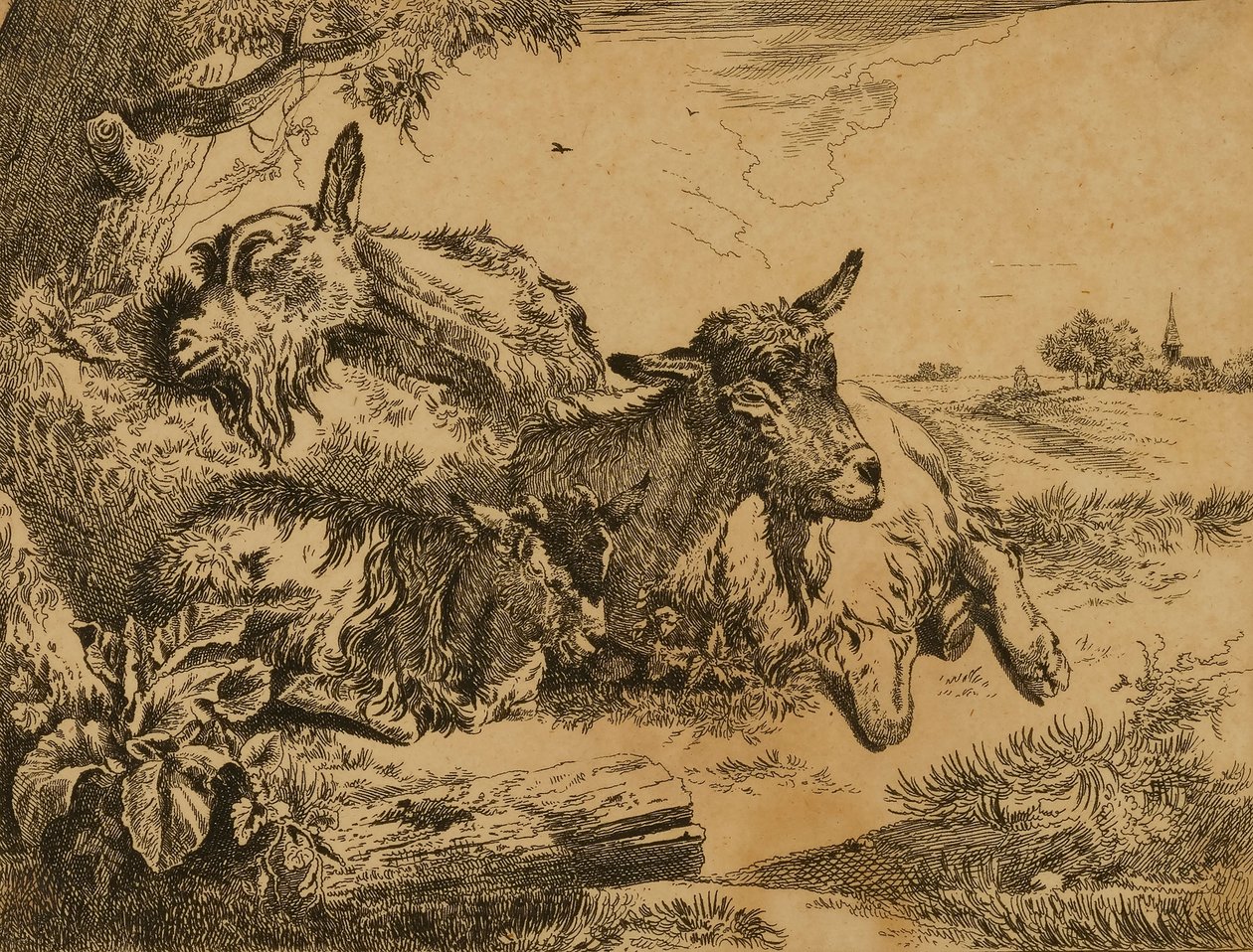 Két kecske és egy kölyök alkotó: Johann Heinrich Roos