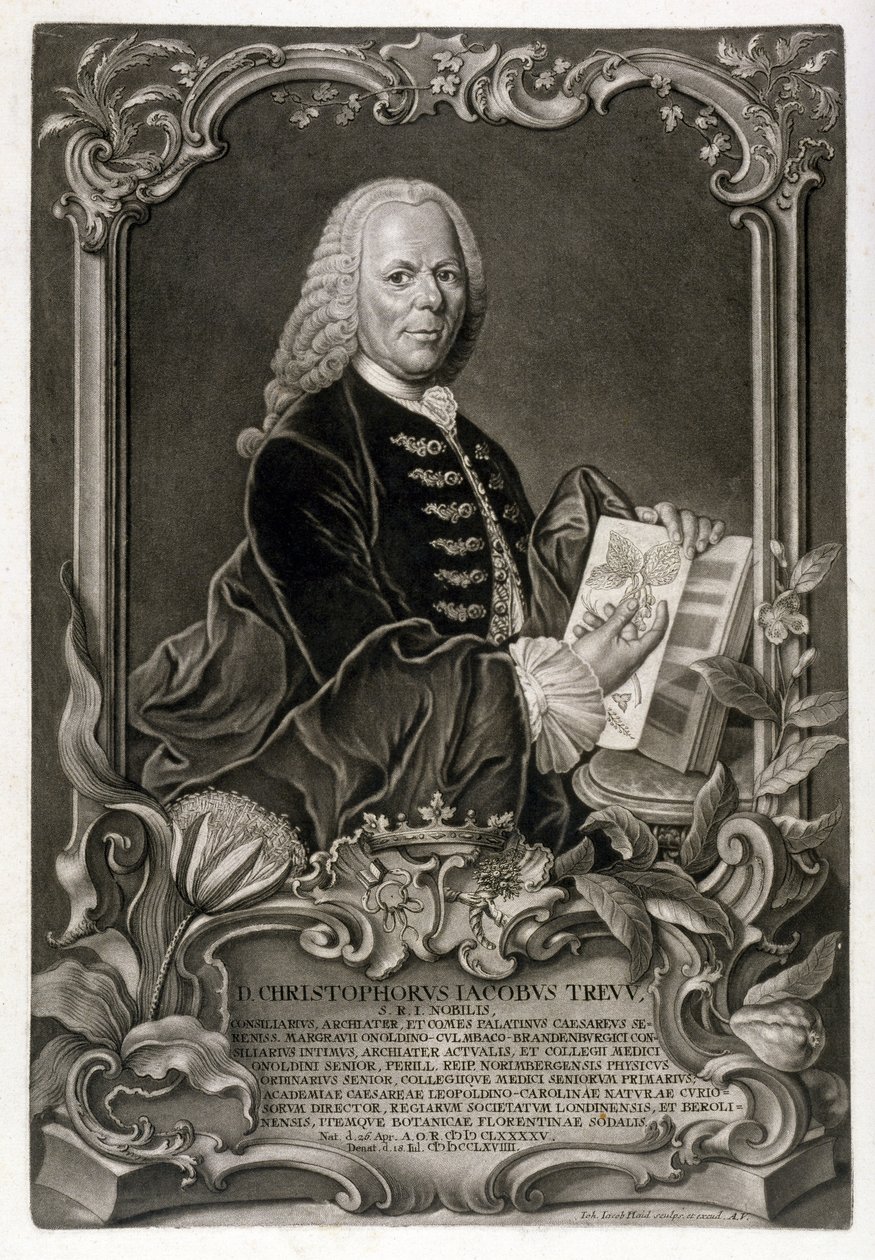 C. J. Trew, botanikus, kocsma. 1768 körül alkotó: Johann Jakob Haid