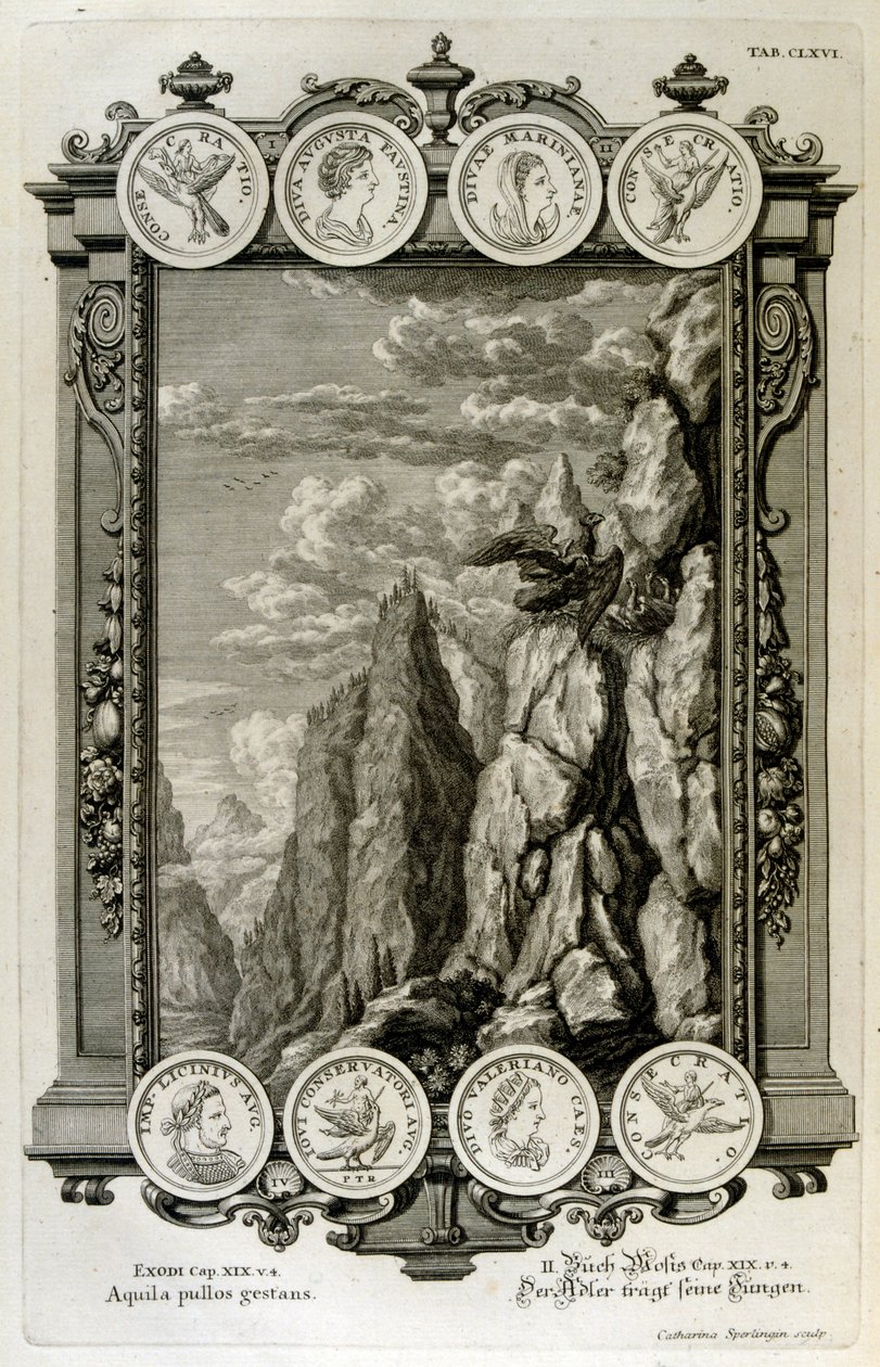 Zeuszt sasként jelképezték alkotó: Johann Jakob Scheuchzer