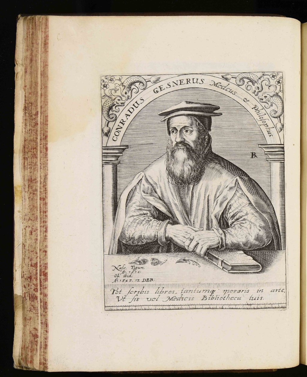Conrad Gessner alkotó: Johann Theodor de Bry