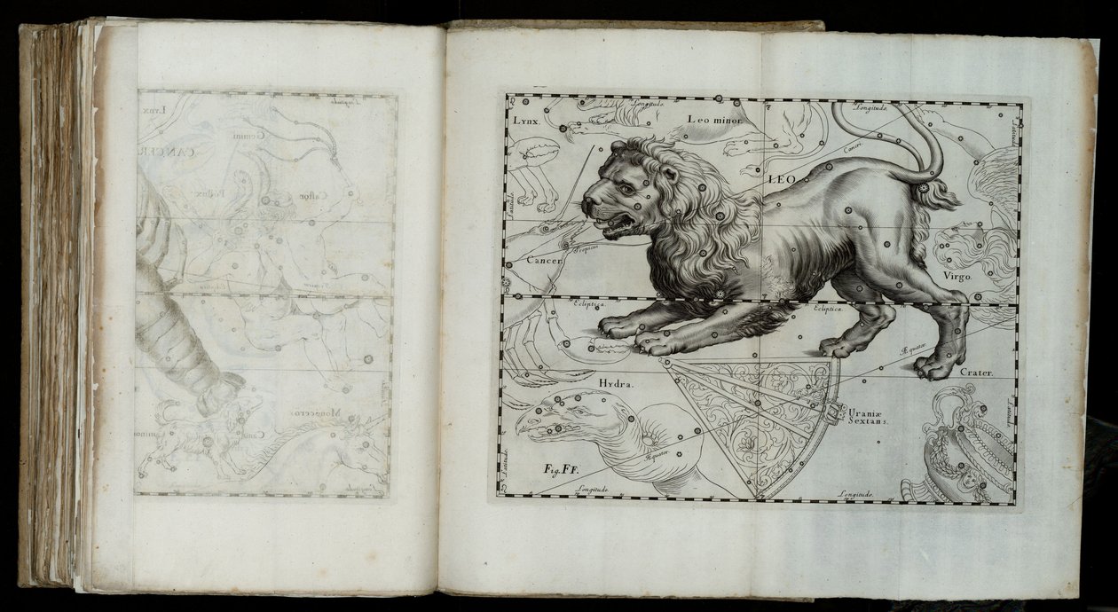 Oroszlán (csillagkép), a "Prodromus of astronomy"-ból alkotó: Johannes Hevelius
