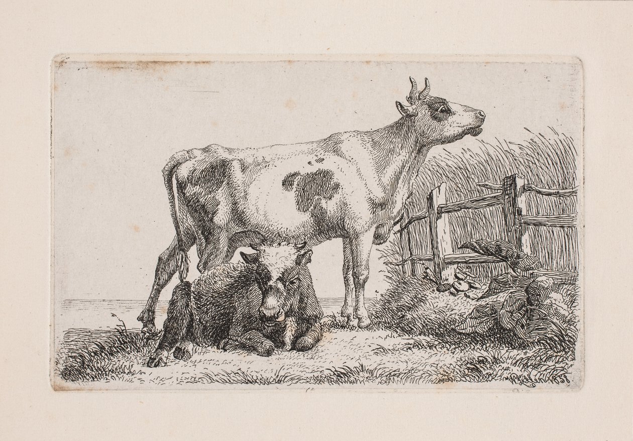 Egy pihenő és egy álló tehén alkotó: Johannes Wilhelm Zillen