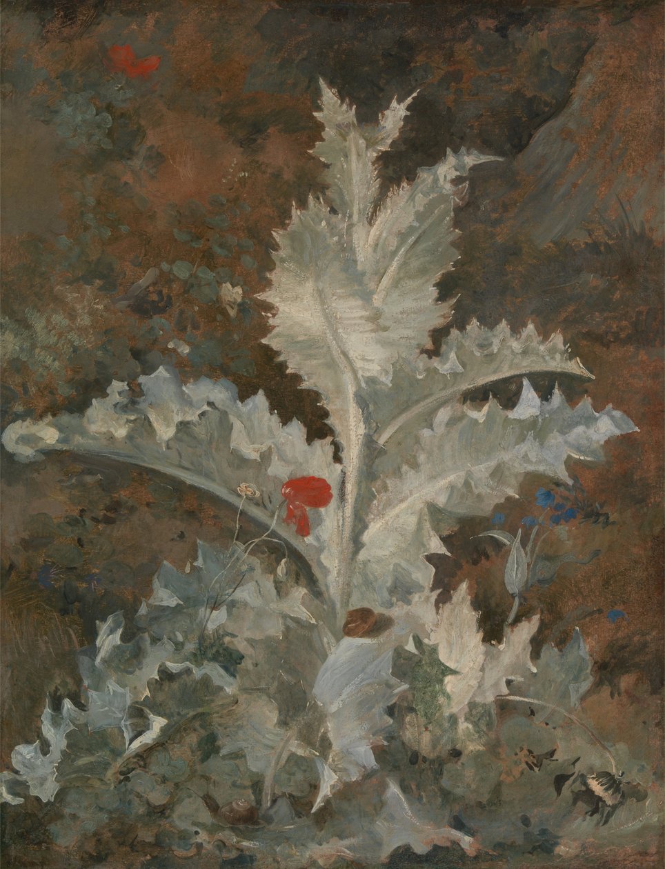A Thistle alkotó: John Crome