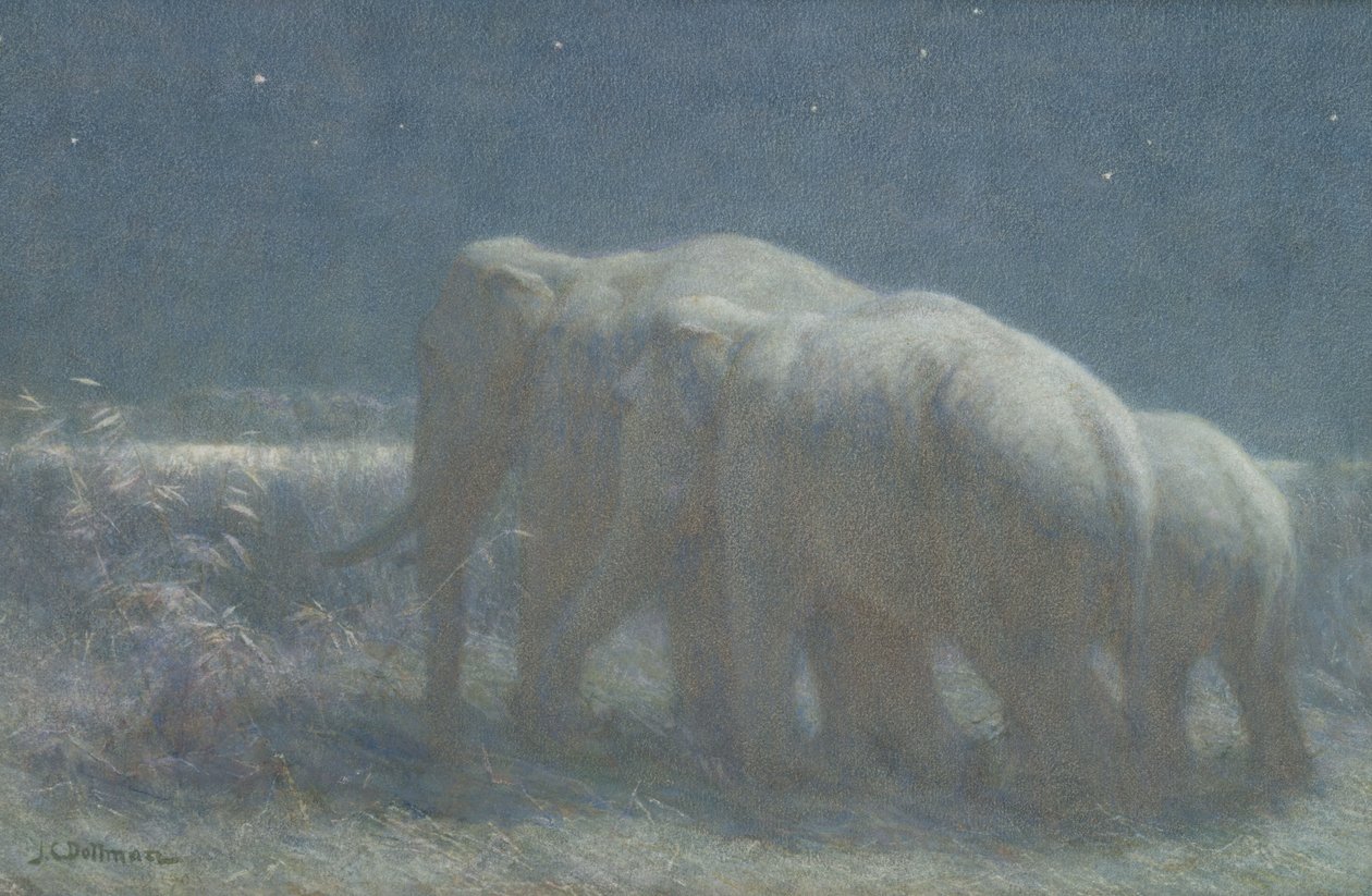 Éjszaka, 1908 (wc és kréta papíron) alkotó: John Charles Dollman