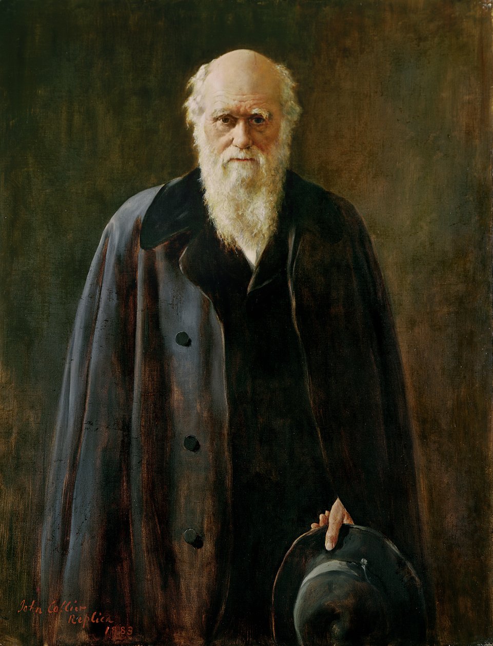 Charles Darwin (1809-1882) portréja 1883 alkotó: John Collier