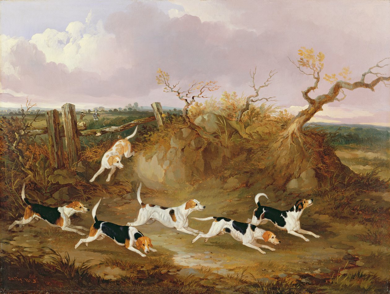 Beagles in Full Cry, 1845 alkotó: John Dalby