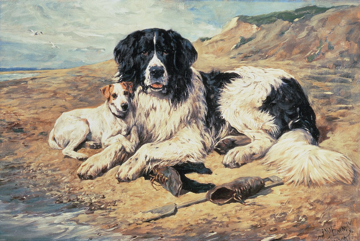 Kutyák nézik a fürdőzőket, 1900 alkotó: John Emms