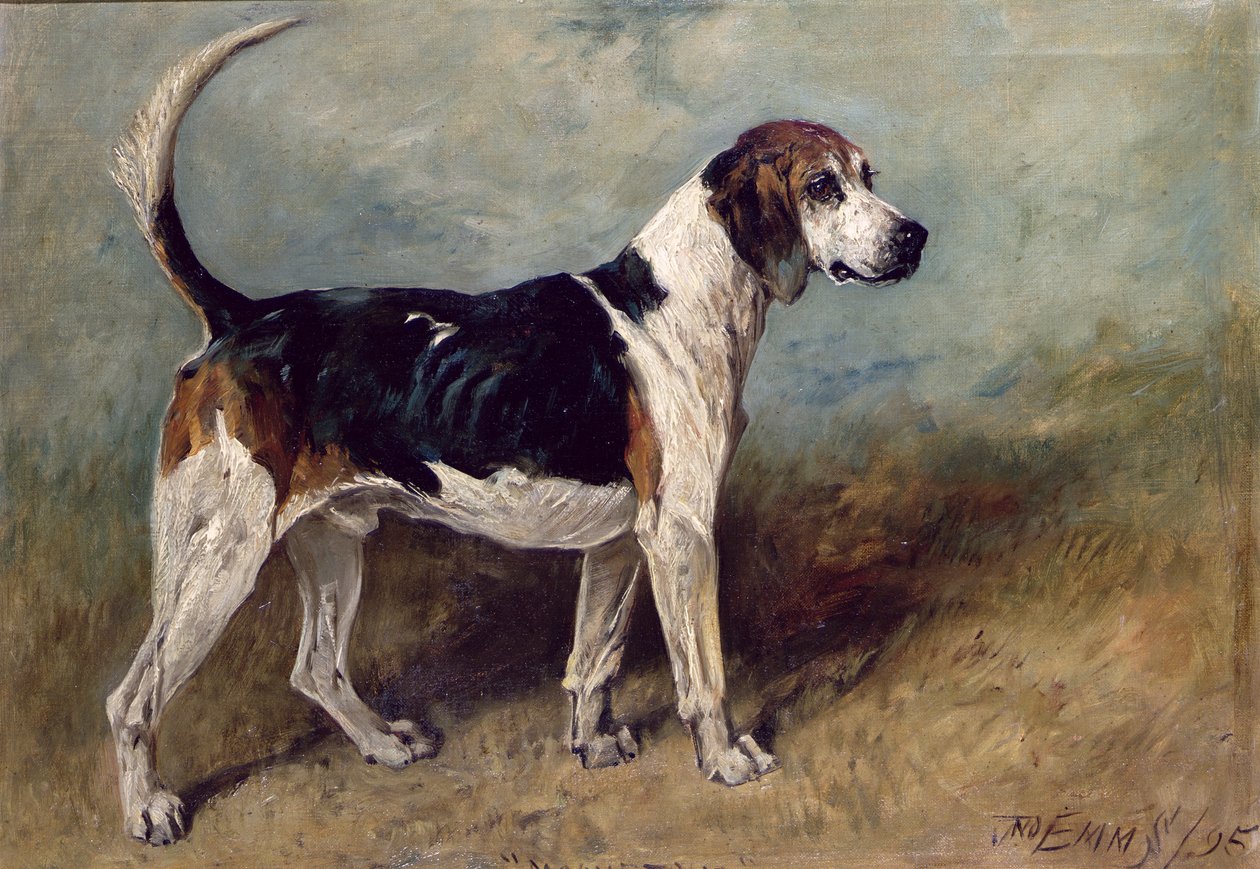 Holdkő, 1895 alkotó: John Emms