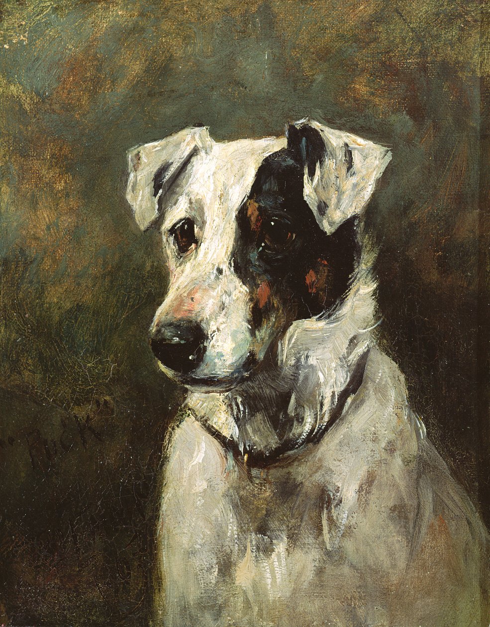 Puck, 1903 alkotó: John Emms