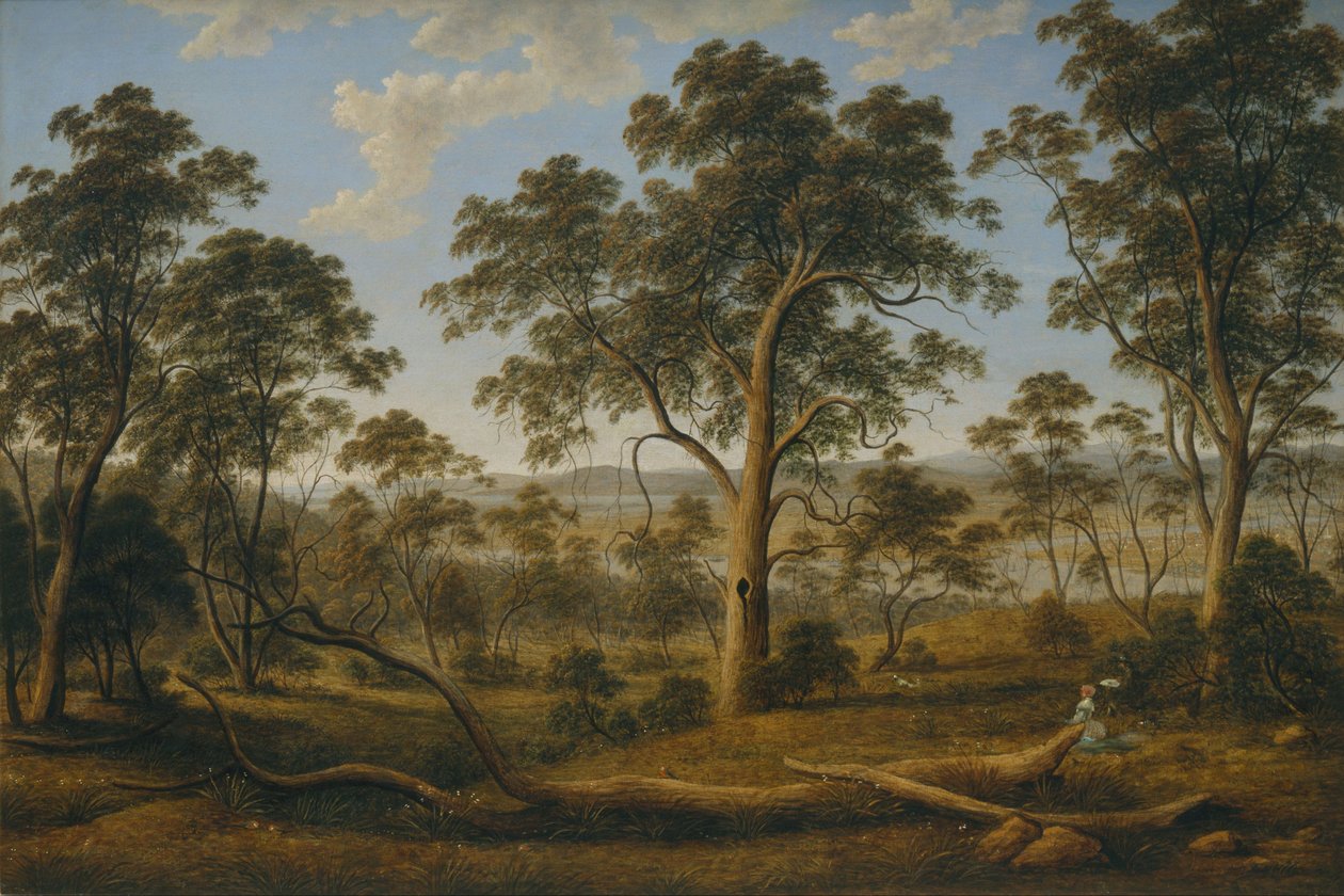 Launceston és a Tamar folyó alkotó: John Glover