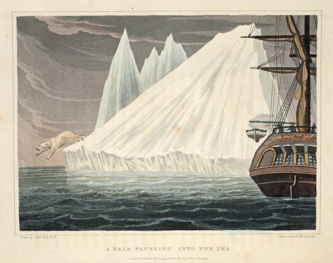 Tengerbe zuhanó medve, illusztráció az „A felfedezőút...” című művéből, 1819 (kézzel színezett metszet) alkotó: John Ross