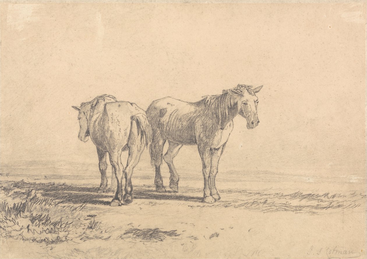 Két öreg ló áll egy mezőn alkotó: John Sell Cotman
