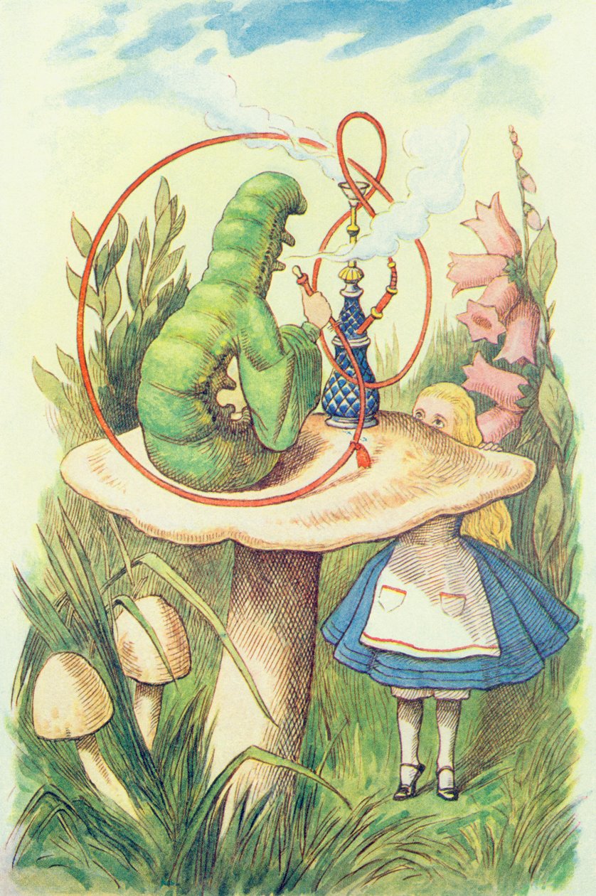 Alice találkozik a hernyóval, illusztráció Lewis Carroll (1832-9) „Alice Csodaországban” című művéből alkotó: John Tenniel