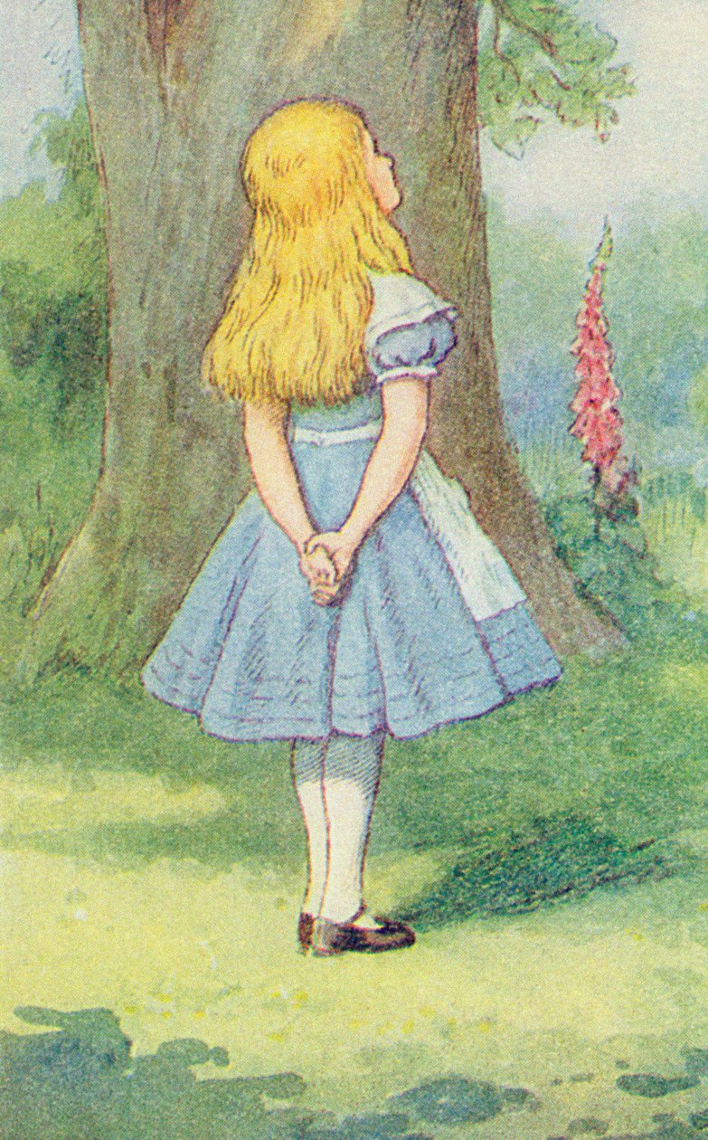 Alice és a Cheshire macska, illusztráció Lewis Carroll "Alice Csodaországban" című művéből (1832-9) (264483 részlet) alkotó: John Tenniel