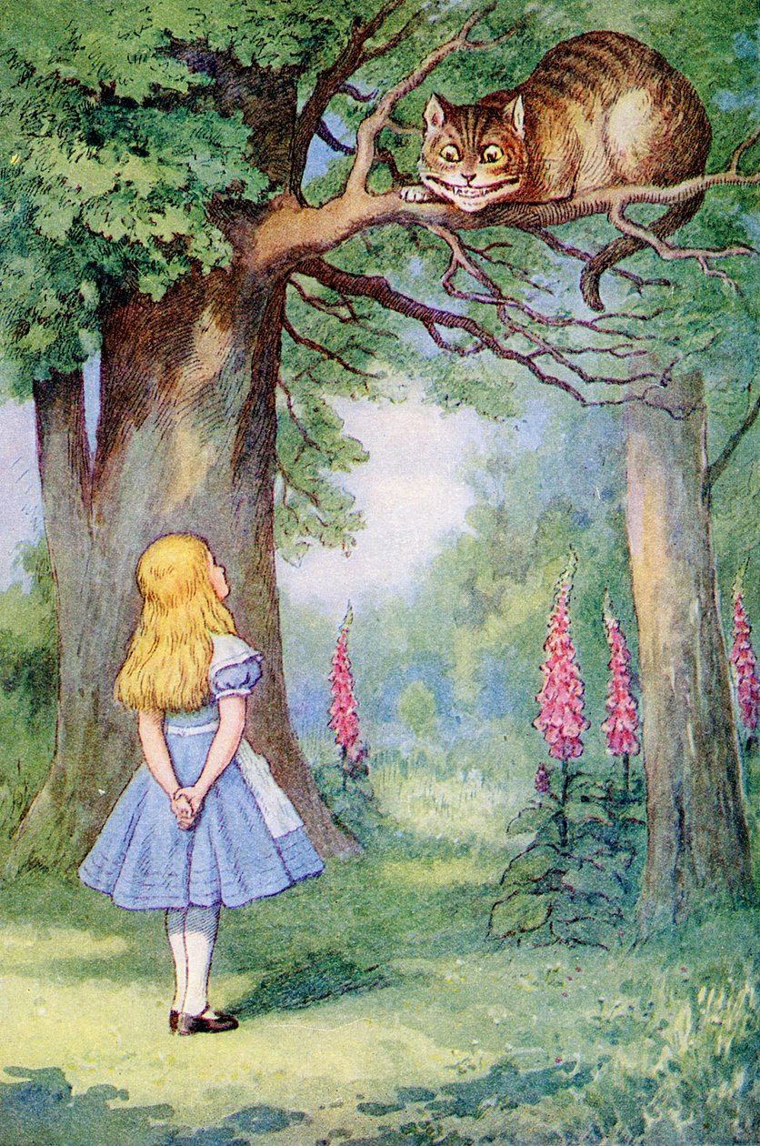 Alice és a Cheshire macska, illusztráció Lewis Carroll (1832-98) „Alice Csodaországban” című művéből alkotó: John Tenniel