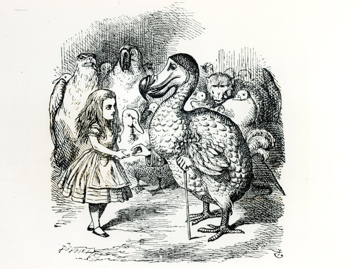 Alice találkozik a Dodóval, illusztráció az „Alice kalandjai csodaországban” című filmből, Lewis Carroll, 1865 alkotó: John Tenniel