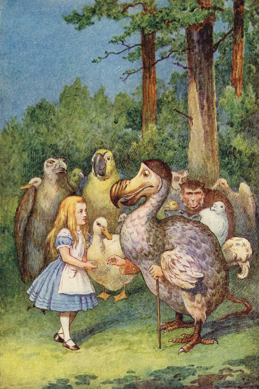 A Dodo egy gyűszűt ajándékoz Alice-nek (színes gravírozás) alkotó: John Tenniel
