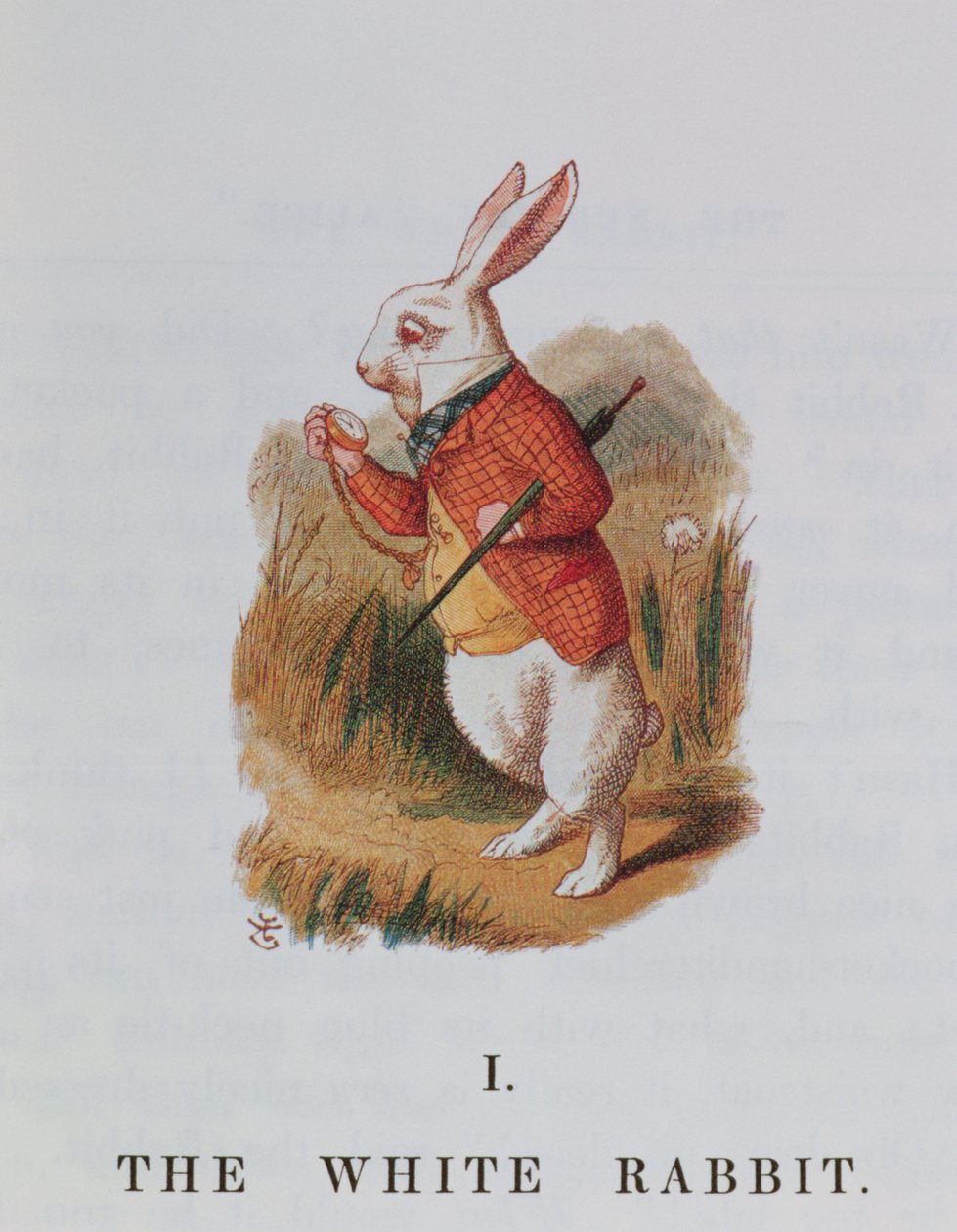 A fehér nyúl, illusztráció Lewis Carroll (1832-98) "Alice Csodaországban" című művéből, Emily Gertrude Thomson (megh. 1932) átdolgozásában 1889-ben. alkotó: John Tenniel