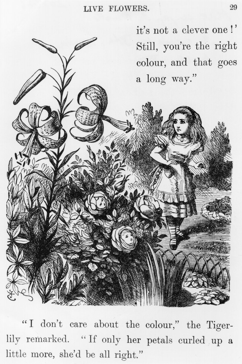 Tiger Lily, Lewis Carroll (1832-98) „Through the Looking Glass” című művéből alkotó: John Tenniel