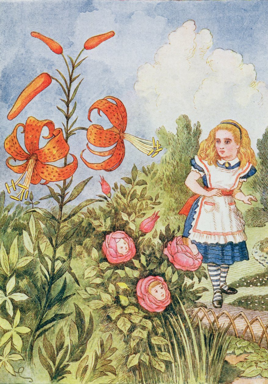 Tiger Lily, Lewis Carroll (1832-98) „Through the Looking Glass” című művéből alkotó: John Tenniel