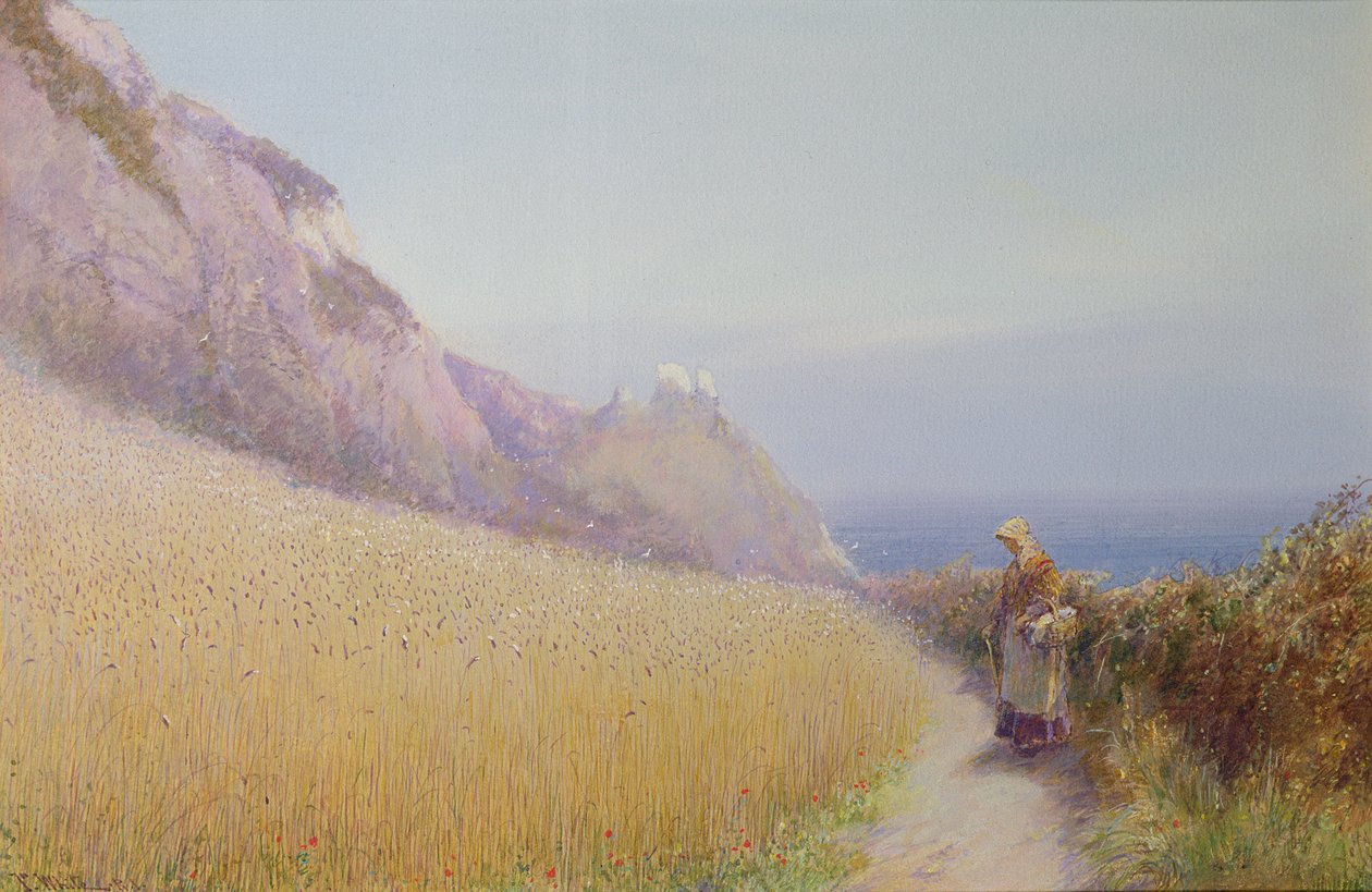 Kukoricatábla Sidmouth közelében, Devon alkotó: John White