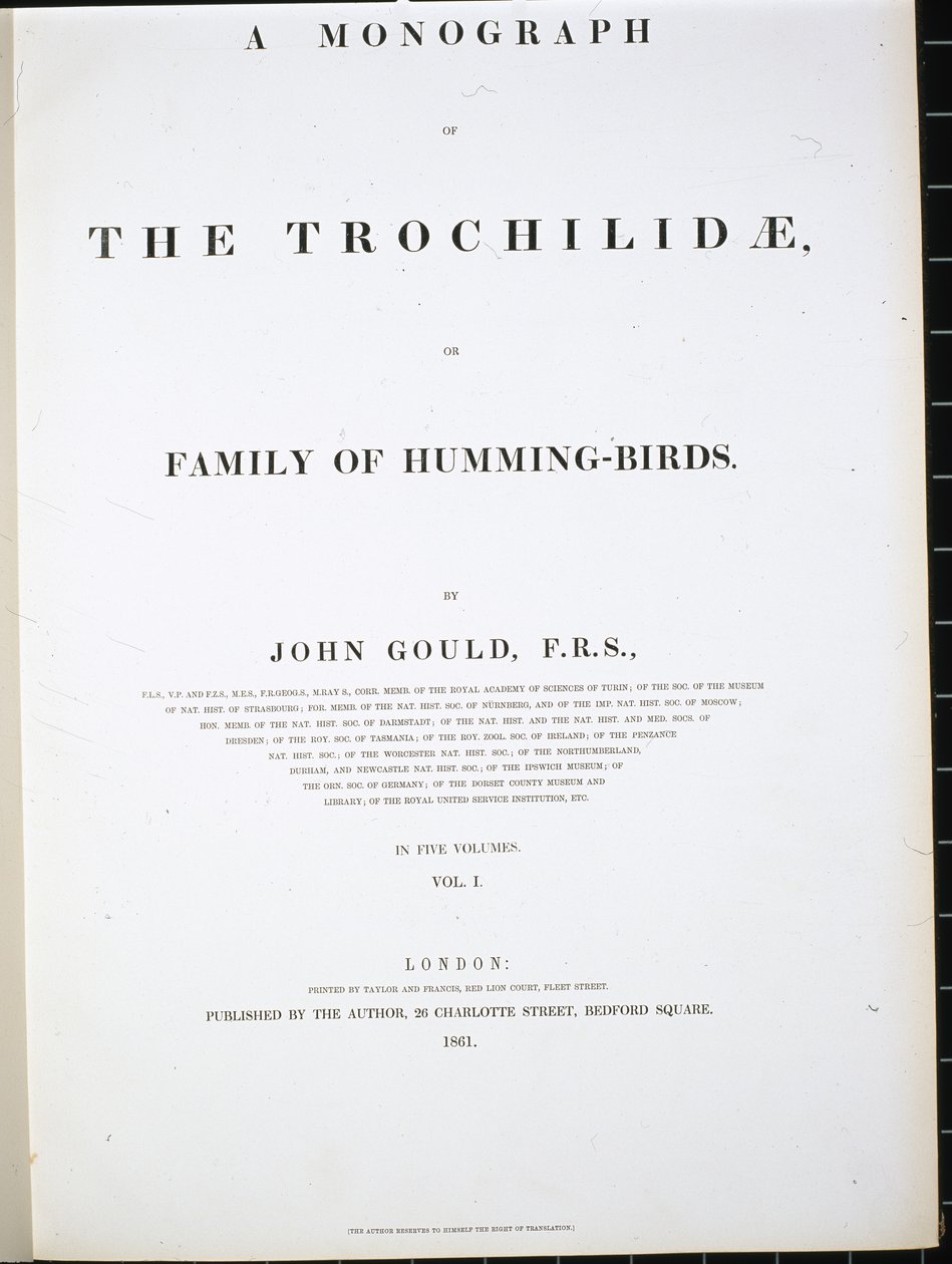 Előlap (kézzel színezett litográfia) alkotó: John (after) Gould